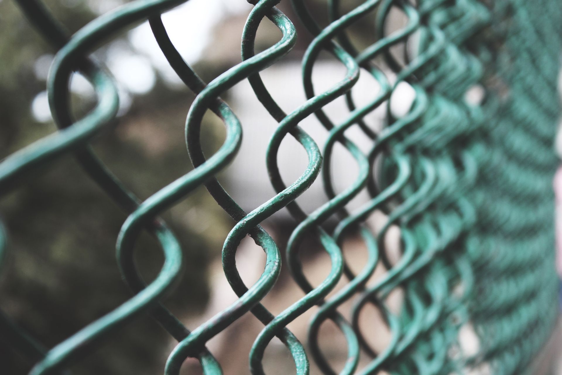 Close-up of a green chain-link fence with a blurred background