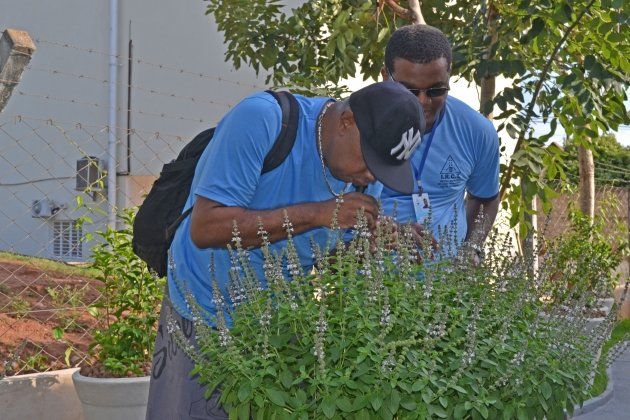 Dois homens de camisa azul estão olhando para uma planta.