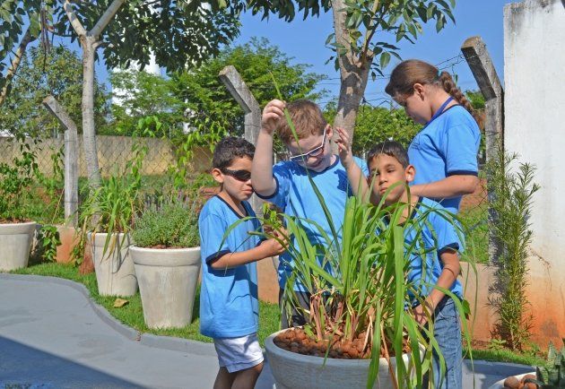 Um grupo de crianças está olhando para uma planta em um vaso