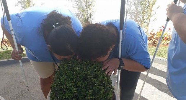 Um homem e uma mulher estão olhando para uma planta.