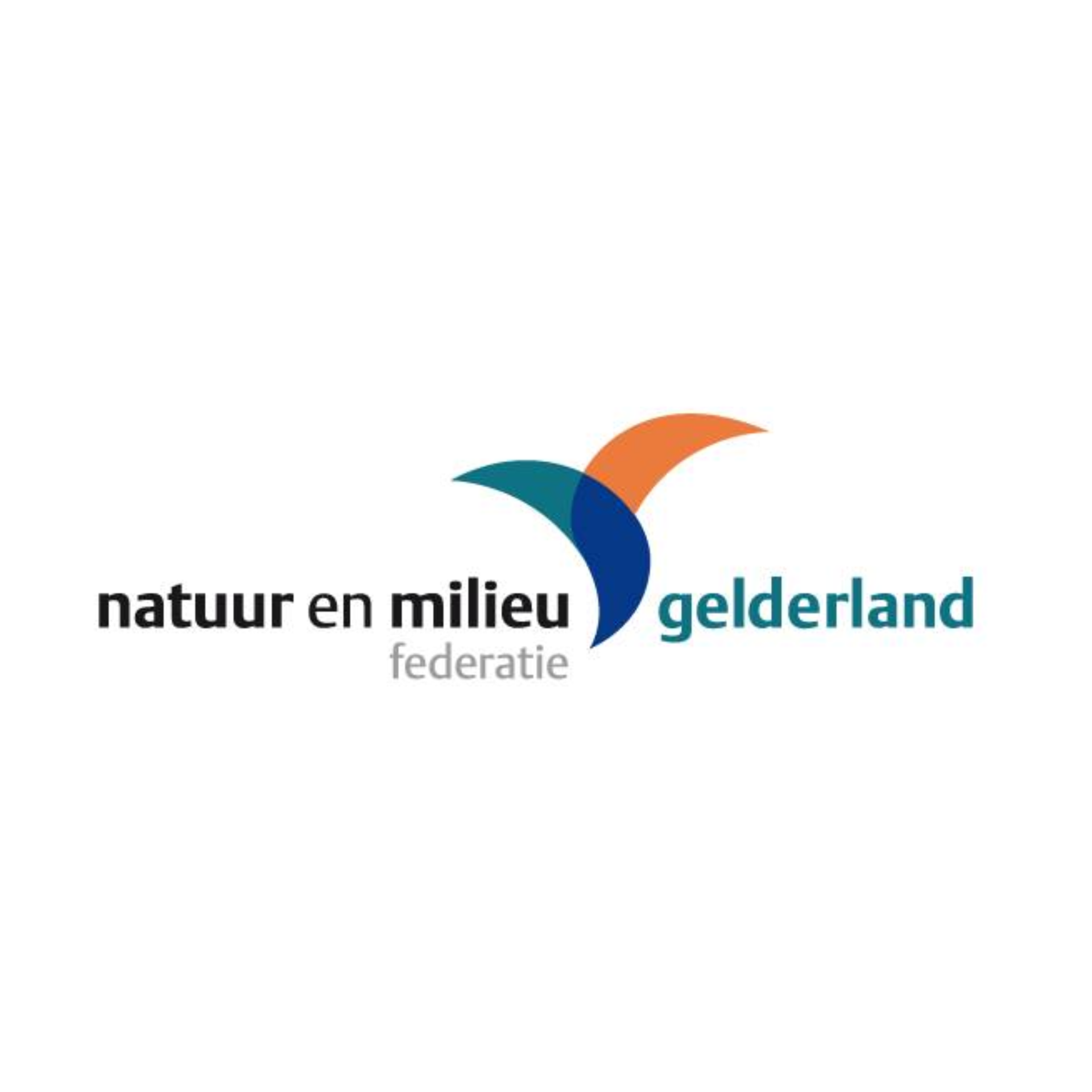 Logo: stylized bird with blue and orange wings, text
