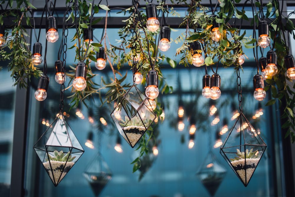 String Lights and Terrariums With Greenery Hanging Near a Glass Facade — Atherton Decor Centre In Tolga, QLD