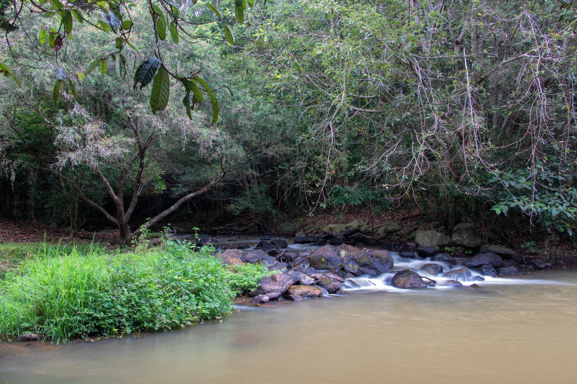 Stream Flowing Over Rocks in a Forest — Atherton Decor Centre In Yungaburra, QLD