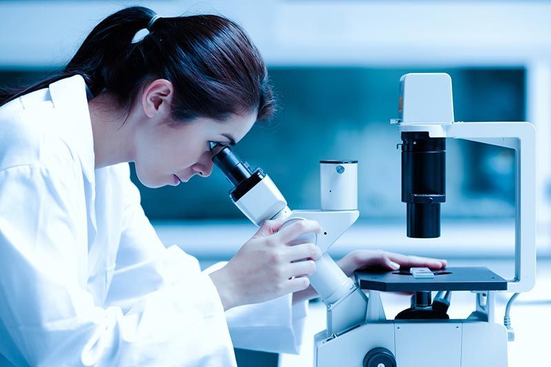LABORATORIO LA PAZ