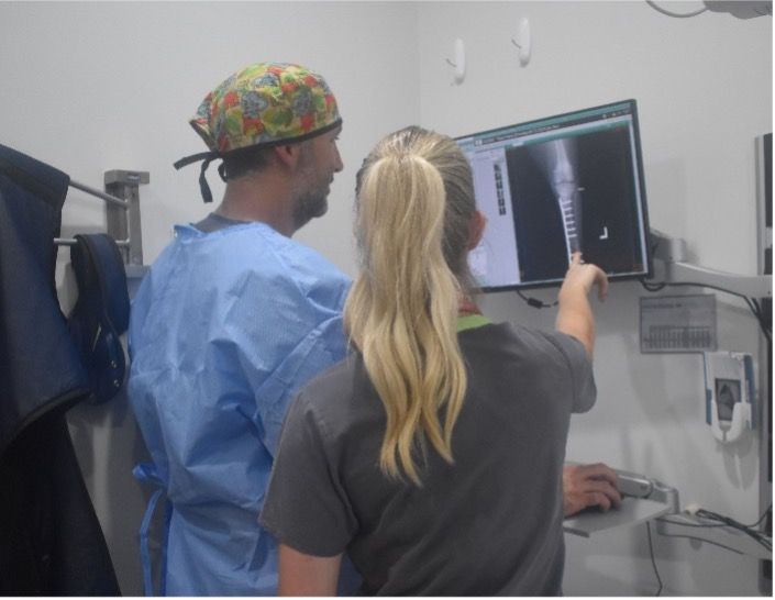 Two medical staff review an X-ray on a monitor in a clinical room. — Valley Vet Surgery In Walkerston, QLD