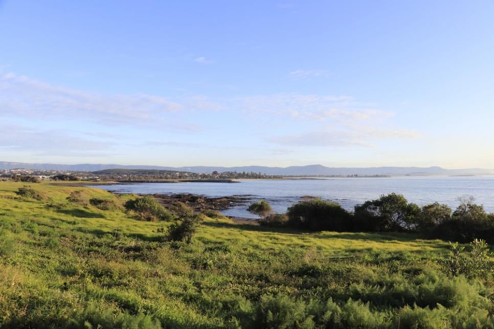 A Lush Green Field With a Body of Water in the Background — Bonanno's Menswear in Shellharbour, NSW