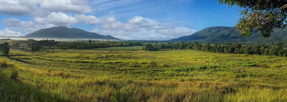 A Lush Green Field With Mountains in the Background and Trees in the Foreground — Bonanno's Menswear in Heathcote, NSW