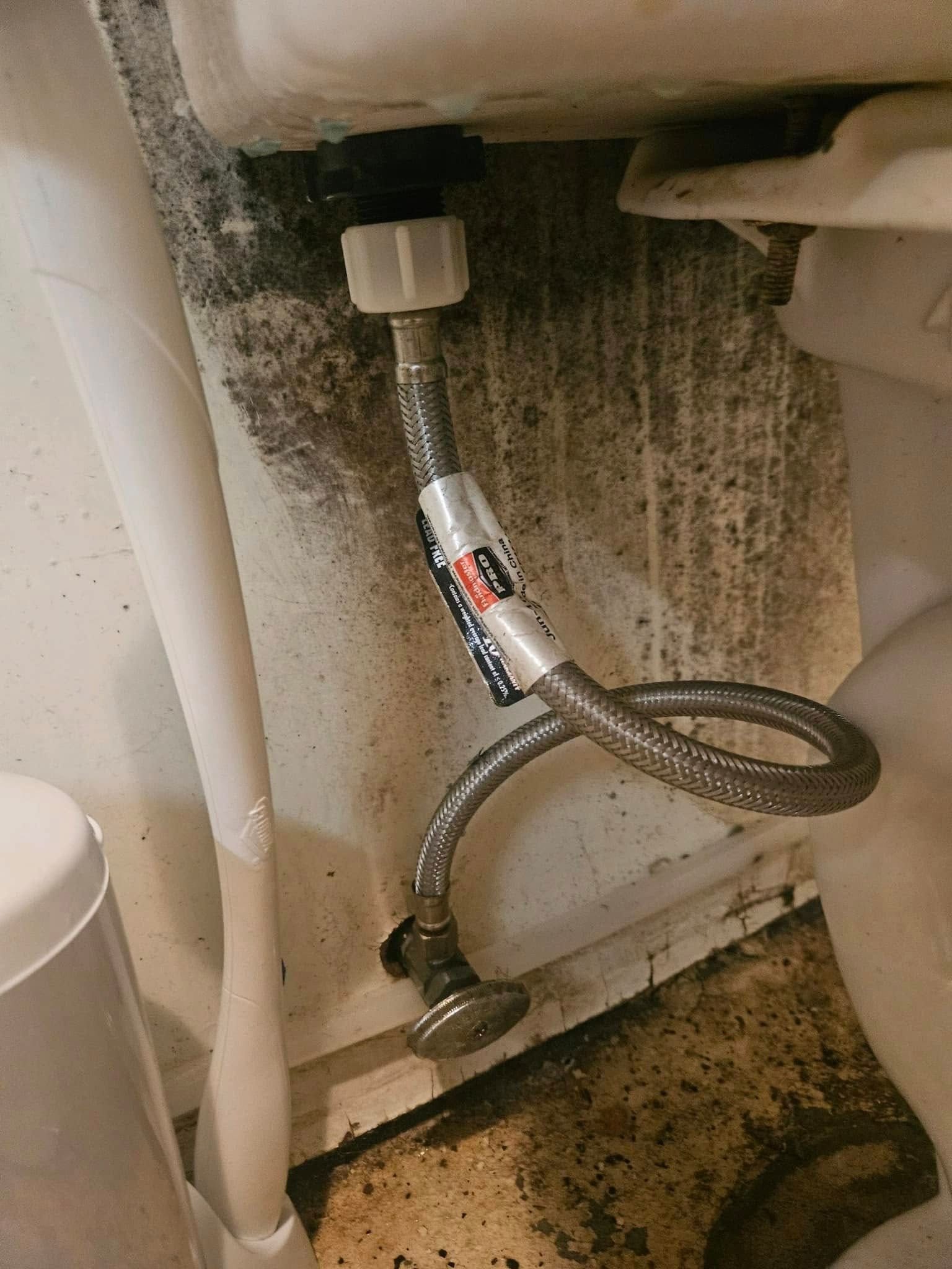 A metal toilet water supply hose connected to the tank and shut-off valve against a wall with significant water staining.