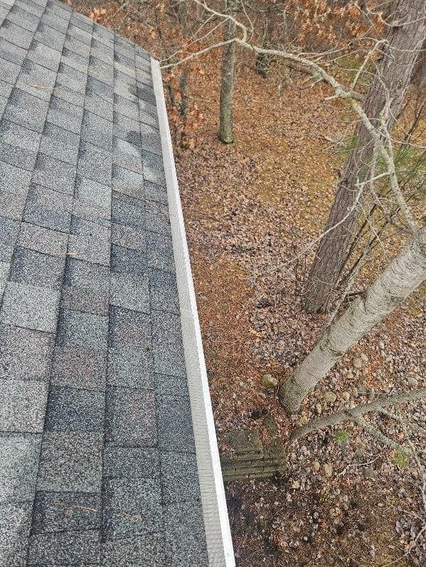 A view from a roof looking down at a white rain gutter along the edge of a house next to trees and fallen leaves.