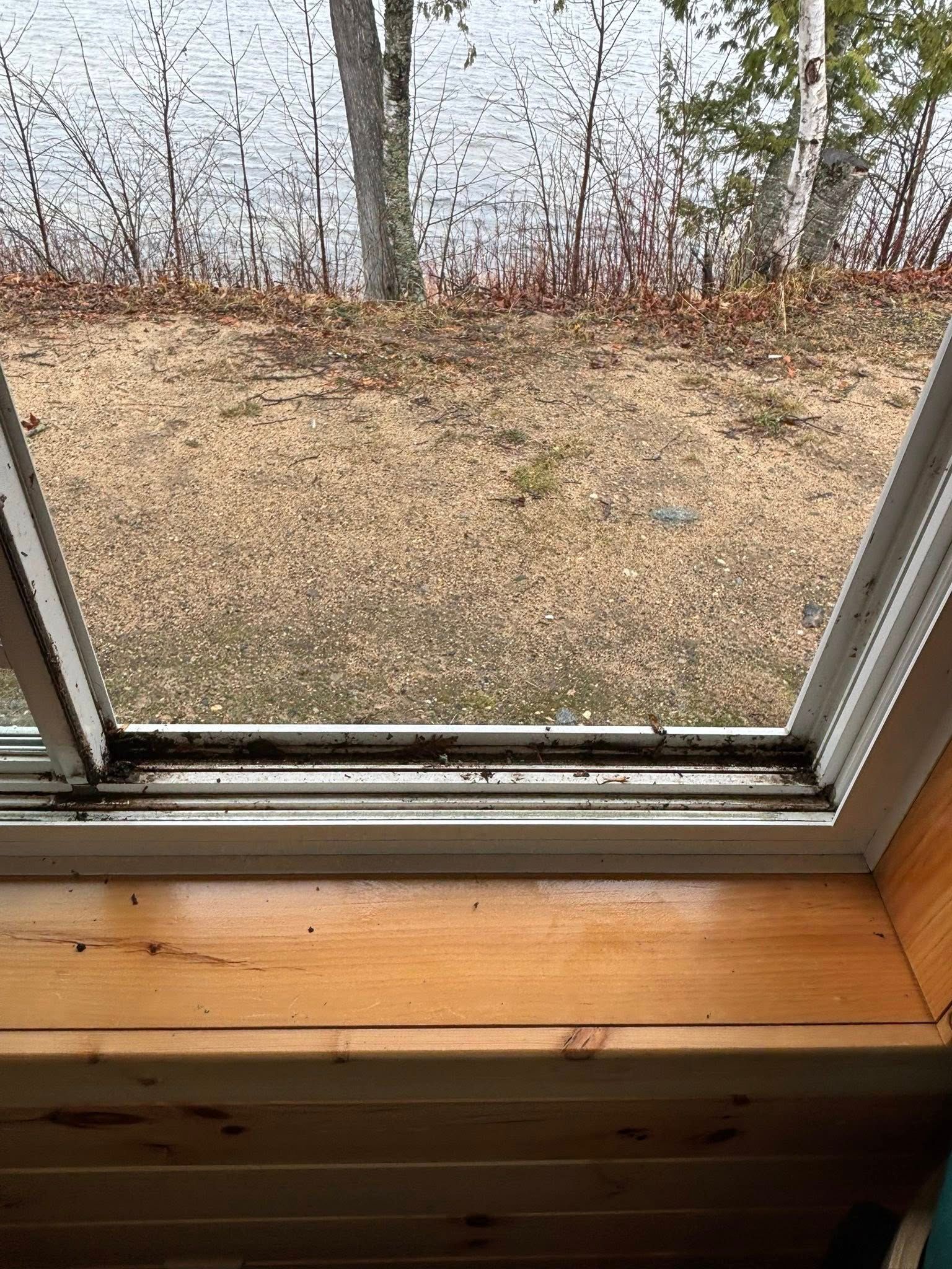A wooden windowsill looking out through a window at bare trees, dead grass, and a body of water.