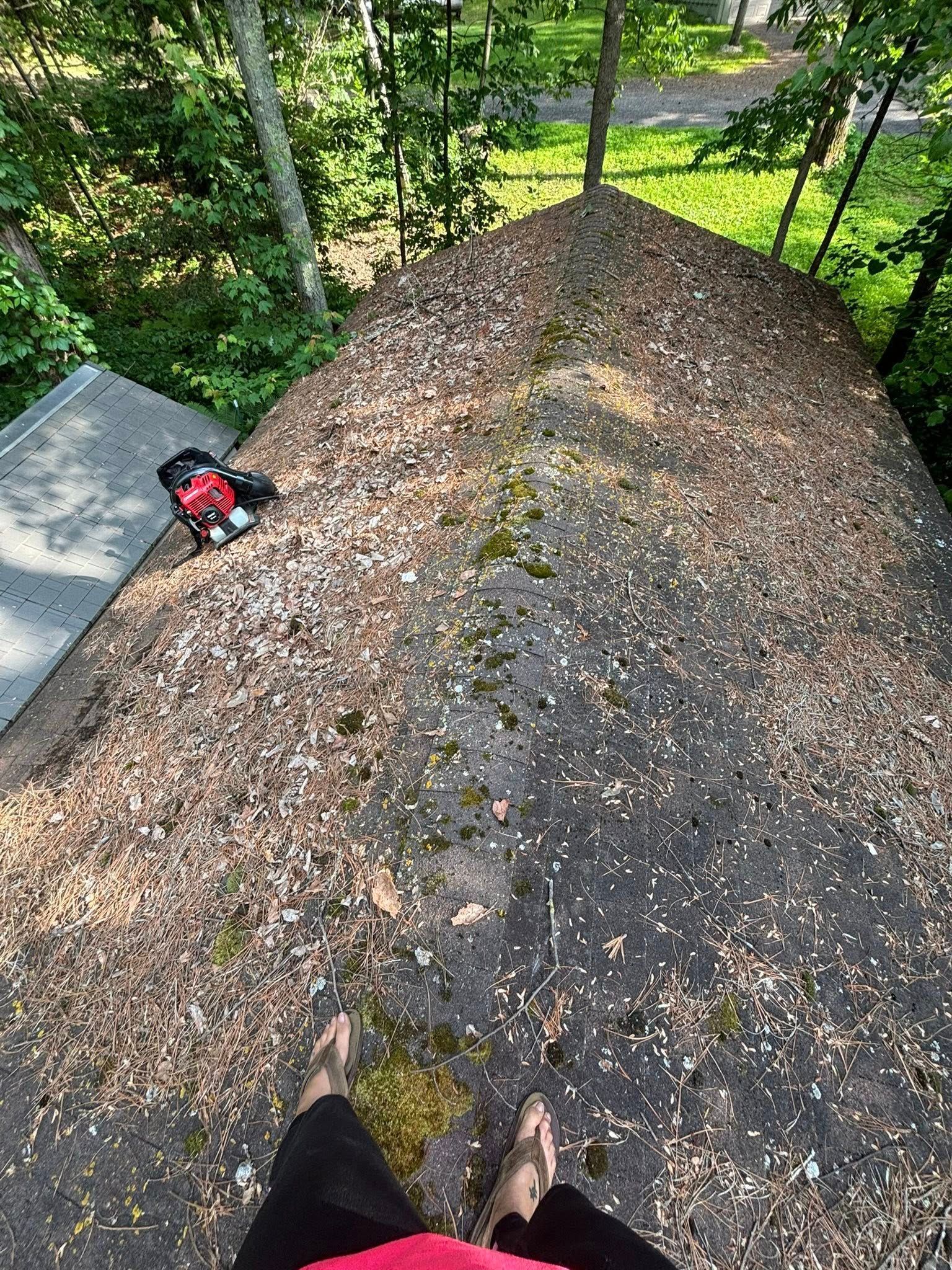 A person’s feet stand on a shingled roof covered in dried leaves and moss, with a leaf blower nearby.
