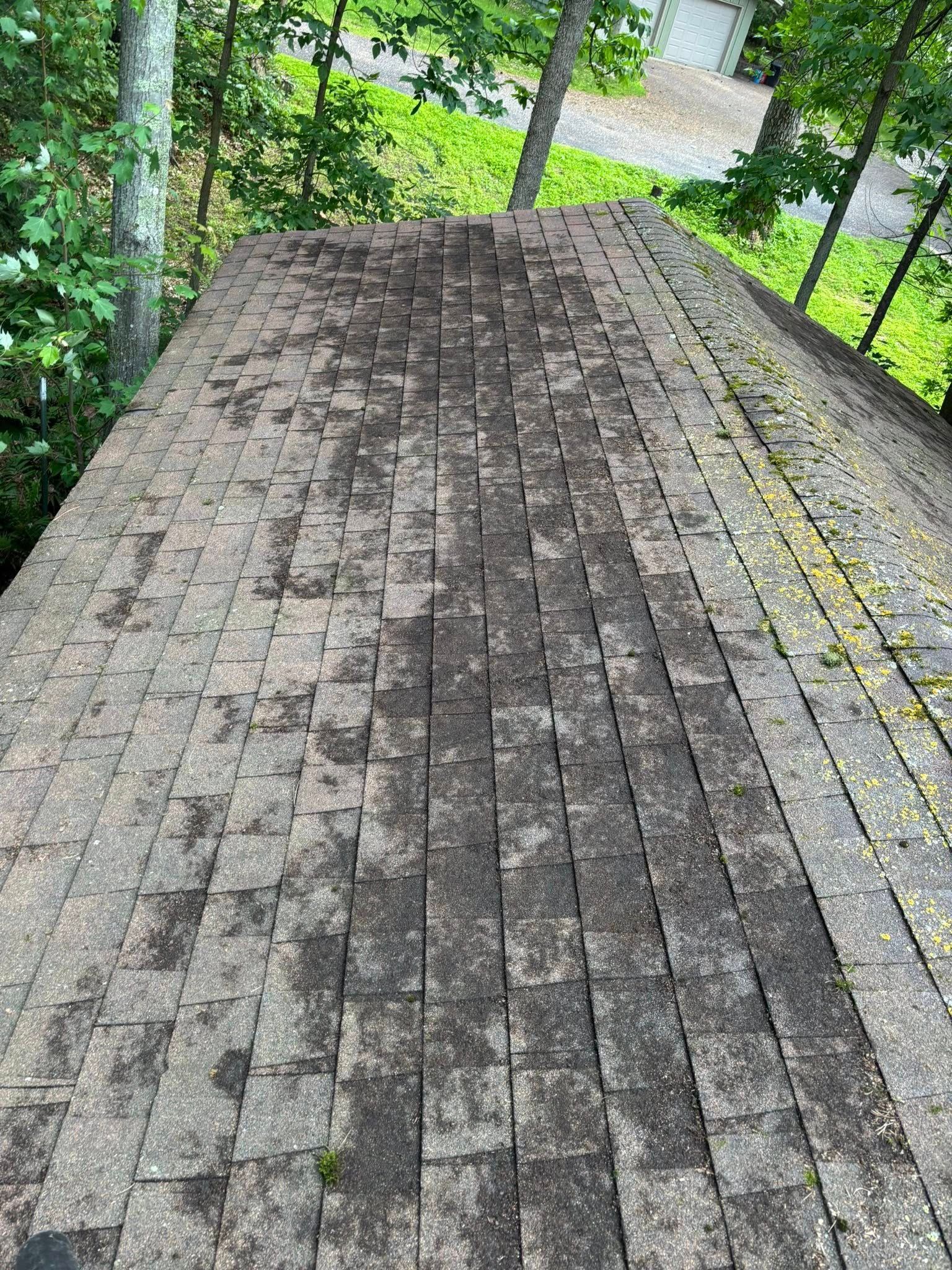 A slightly elevated view of a weathered asphalt shingle roof showing dark streaks of algae growth and moss.