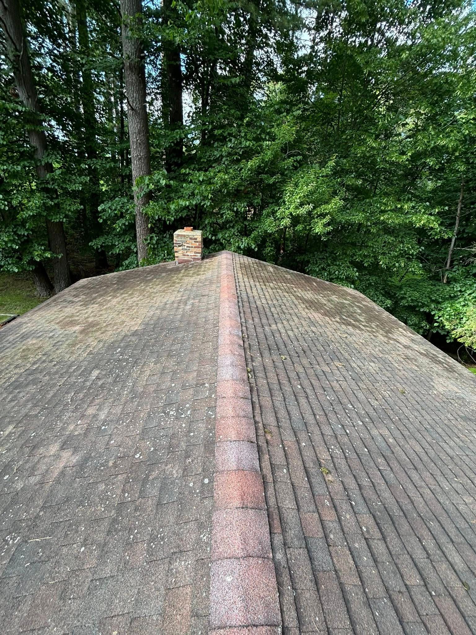 A weathered asphalt shingle roof with a red ridge cap, set against a backdrop of dense green trees.