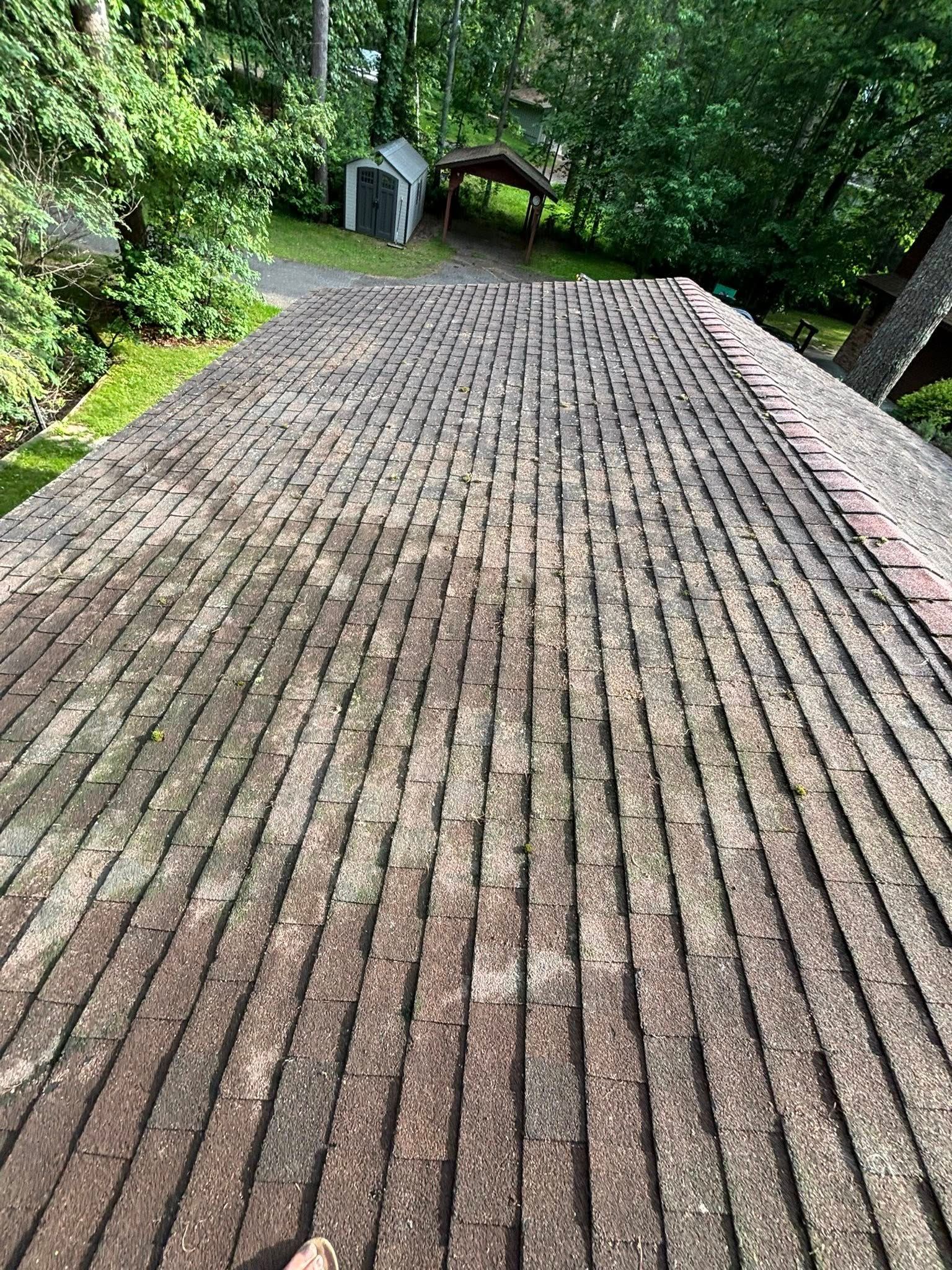 A view looking down a weathered, shingled roof with moss and debris, with trees and a small shed in the background.
