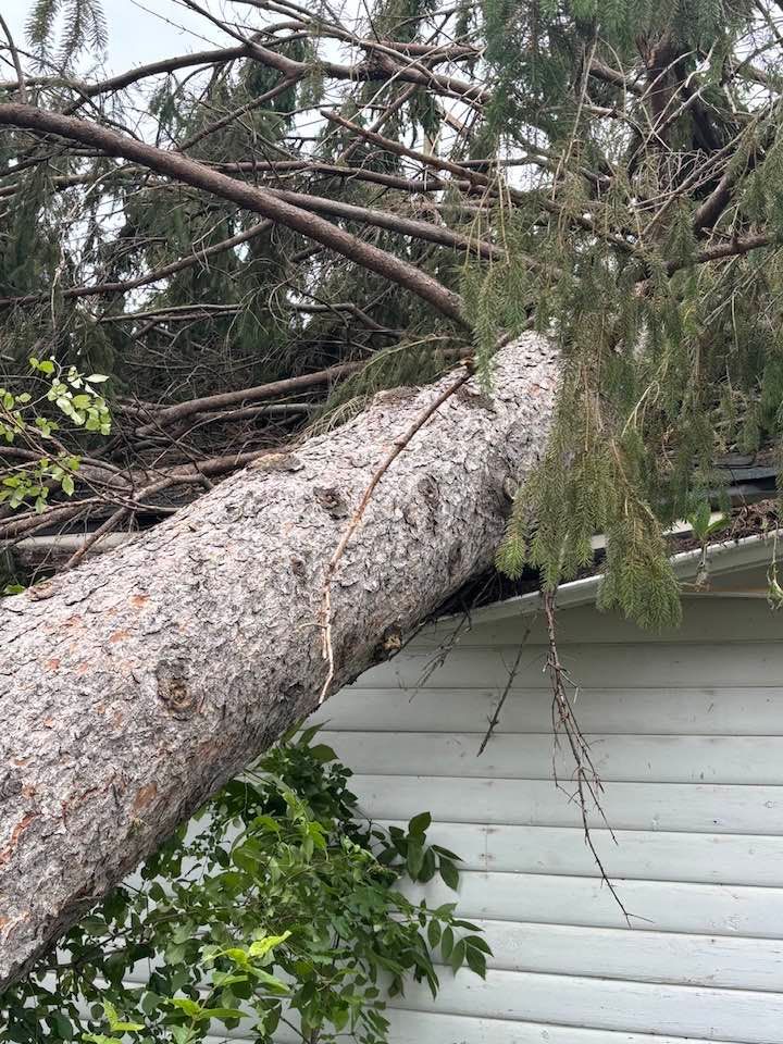A large tree trunk rests on the white siding and edge of a roof after falling.