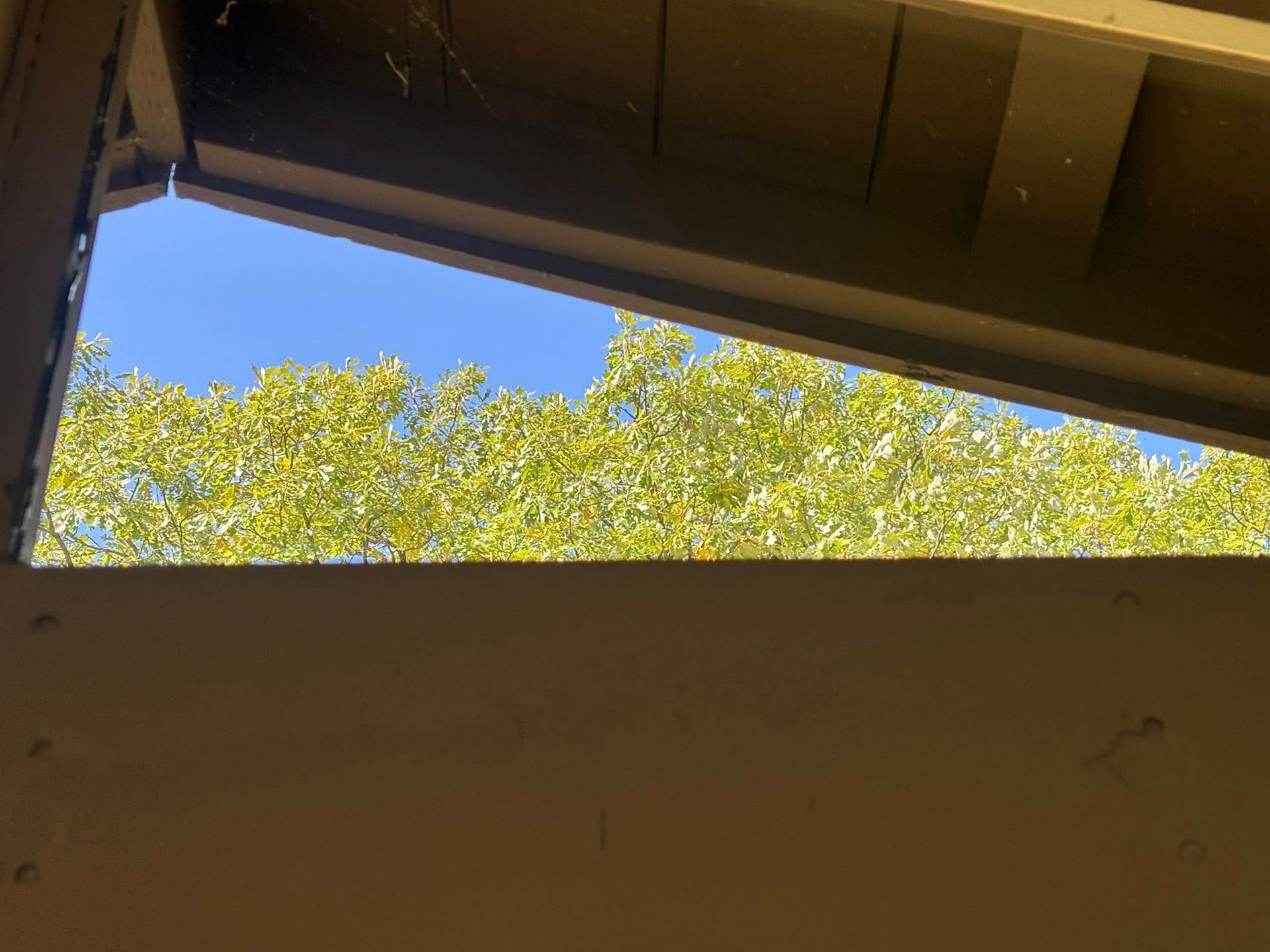 A triangular opening framed by wooden eaves looks out onto a canopy of green trees against a clear blue sky.