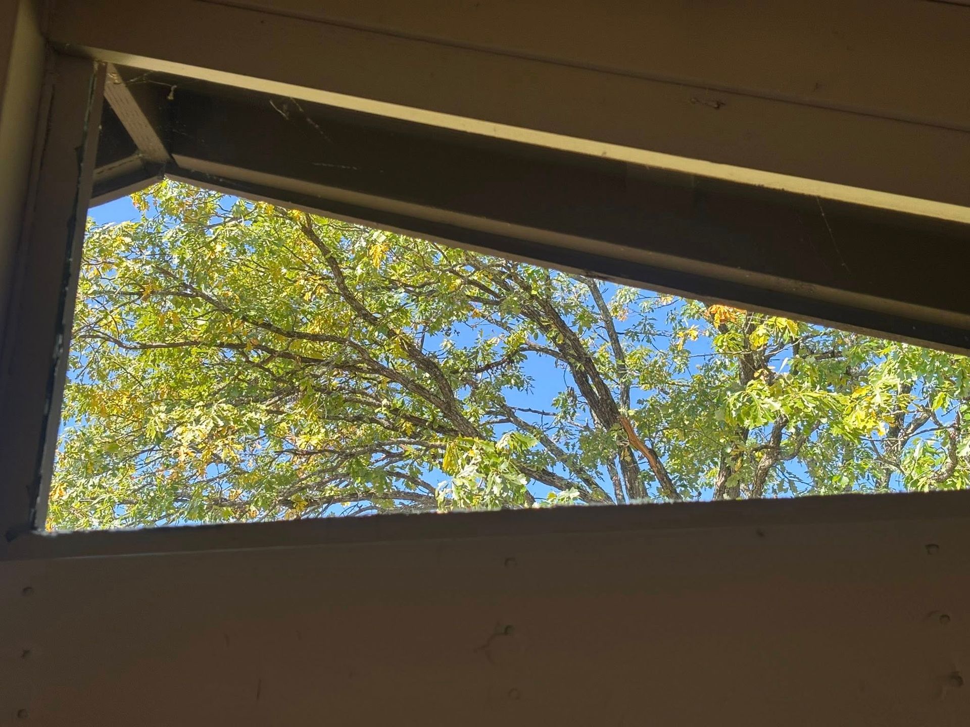 A view through a trapezoidal window showing green tree leaves against a clear blue sky.