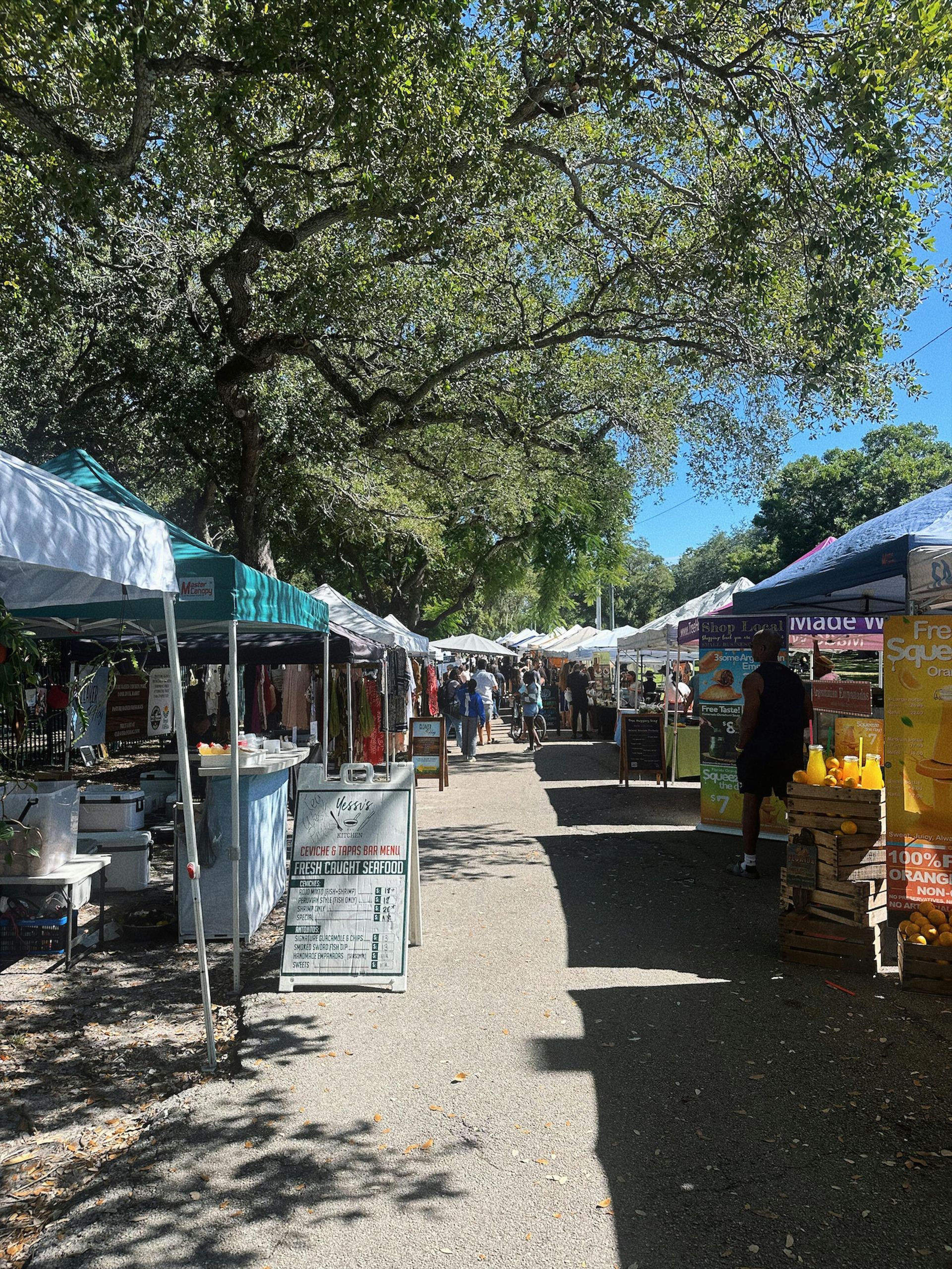 Outdoor market aisle with vendor tents under a large tree, sunlight and shade on the path.