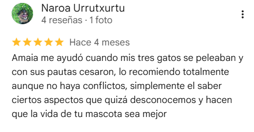 opinion positiva ayuda gatos que se pelean
