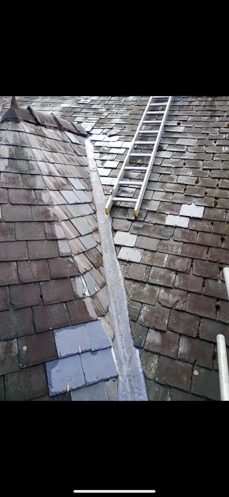 A ladder is sitting on top of a slate roof.