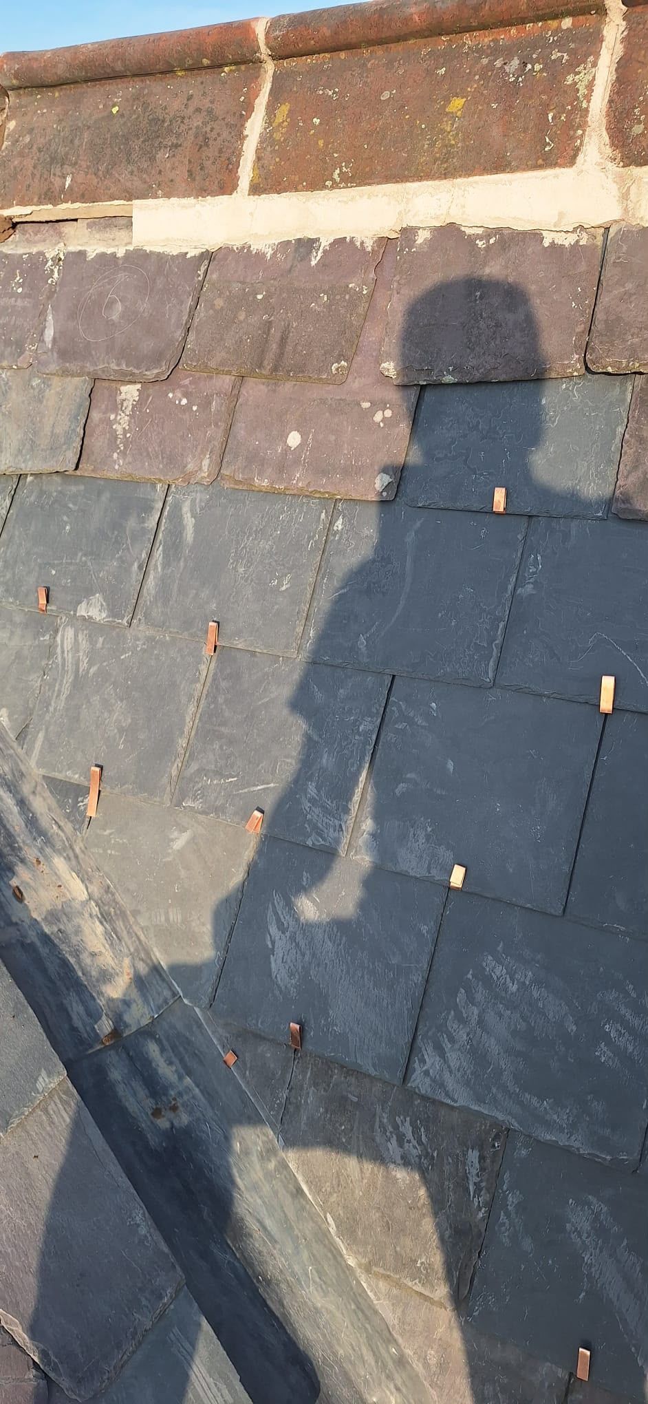 Shadow of a person on a dark shingled roof with a ladder at the lower left.