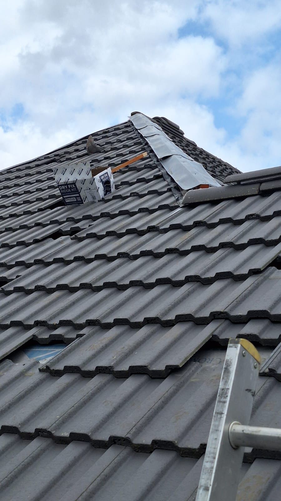 A person is working on the roof of a house with a ladder.