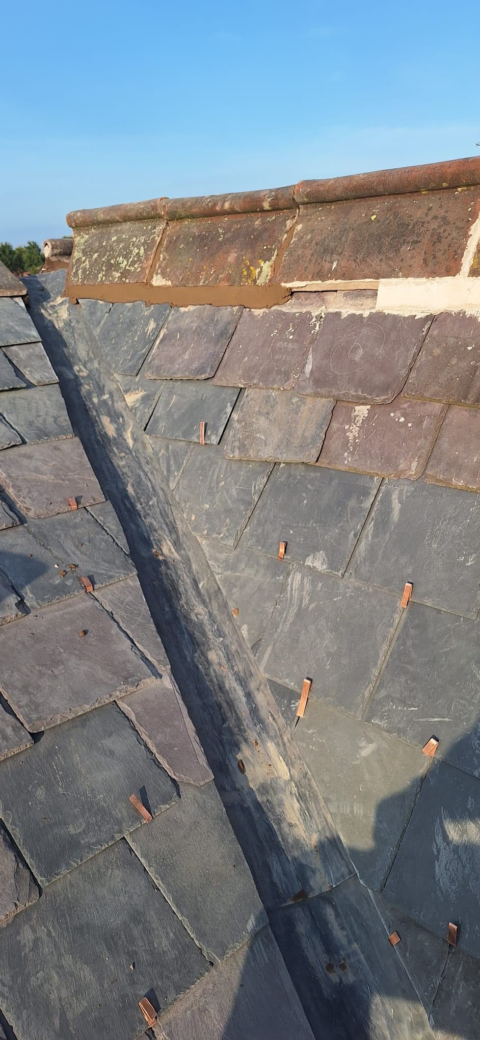 Close-up of a sloped rooftop with dark shingles and a brick parapet under a blue sky.