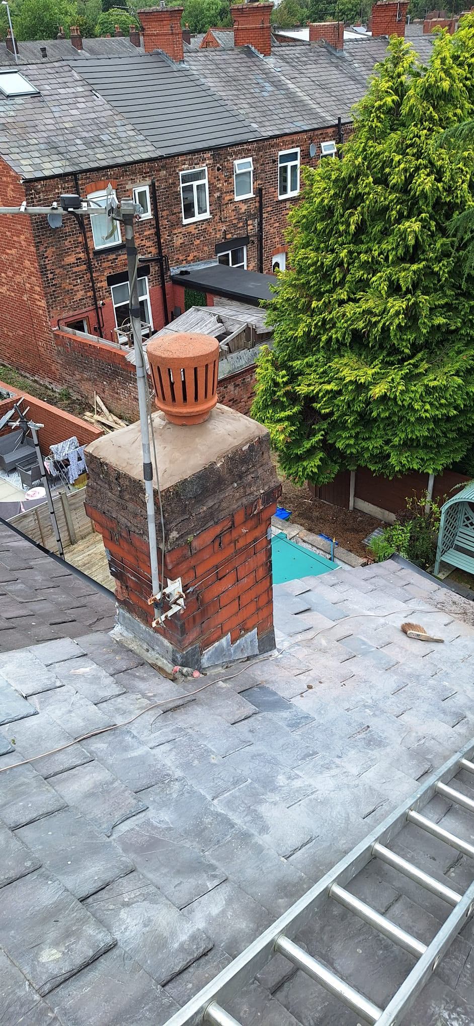 Rooftop view of brick row houses, a chimney, a ladder, and leafy green trees.
