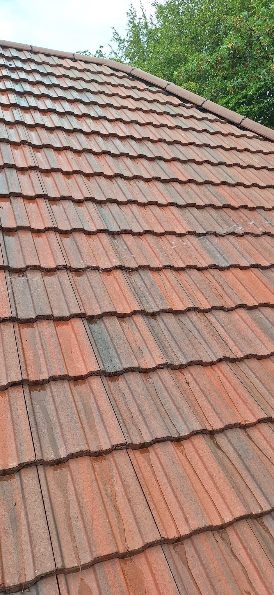 Close-up of a red clay tile roof with trees in the background