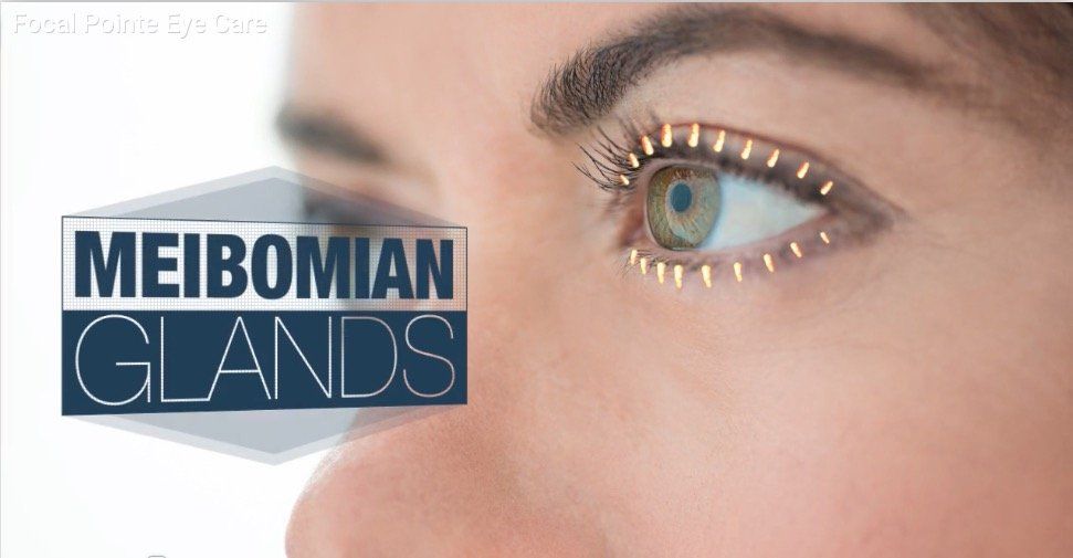 An image of the meibomian glands of the eye