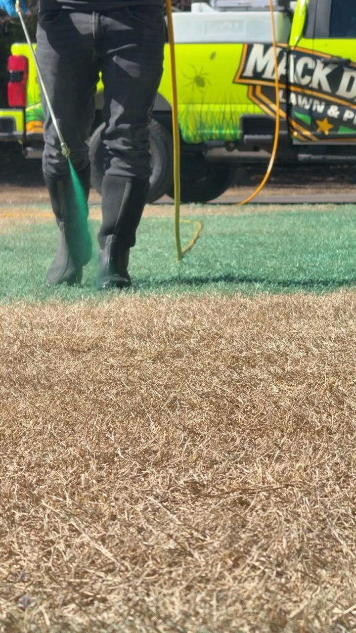 A person spraying green dye on brown grass in front of a green and yellow truck.