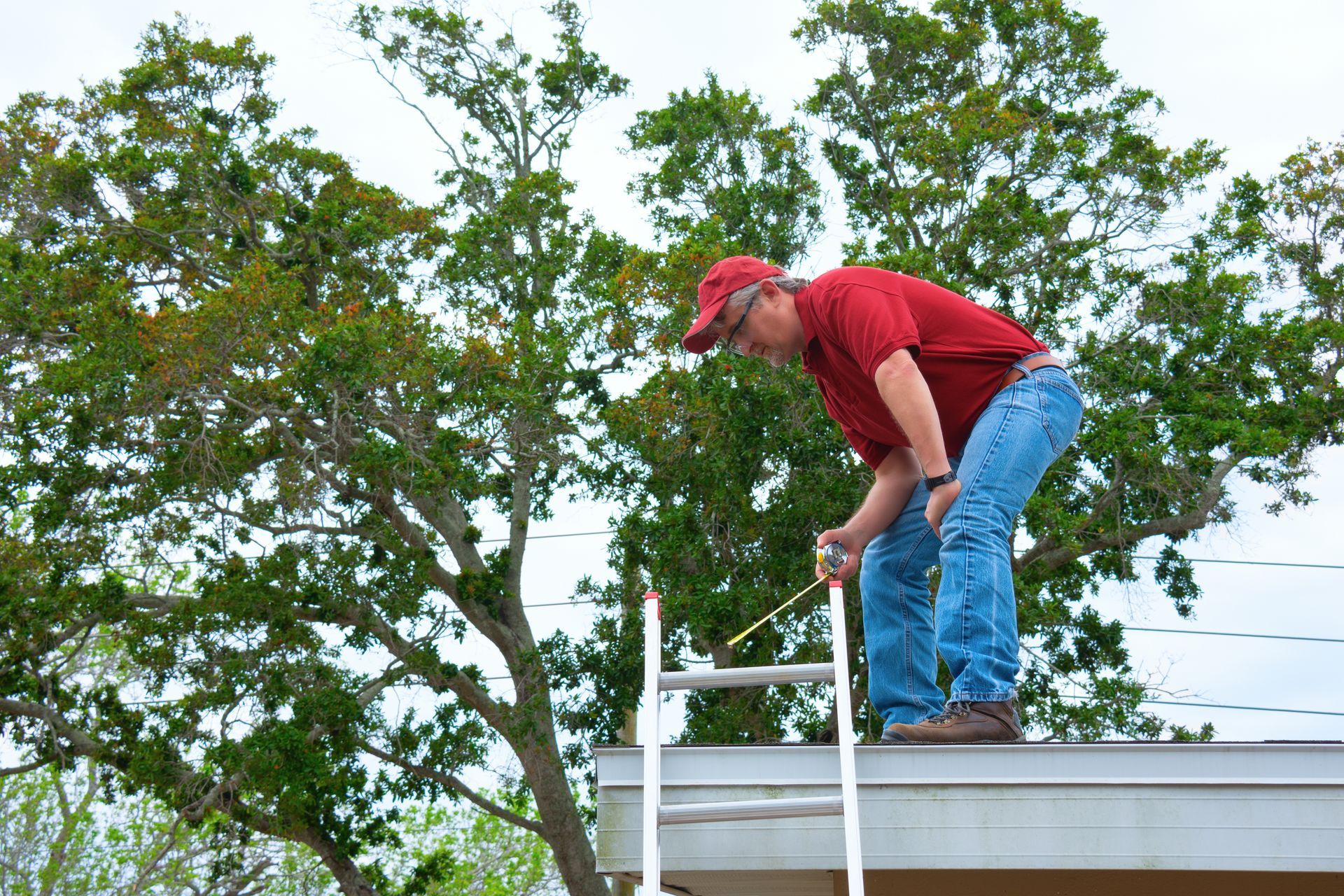 Wind Mitigation Analysis