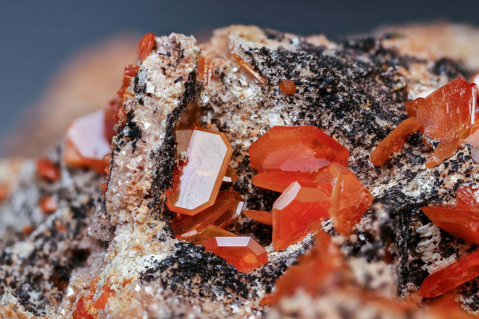 W-5: Automated Mineral Classification: Transforming Mineralogy into Operational Intelligence