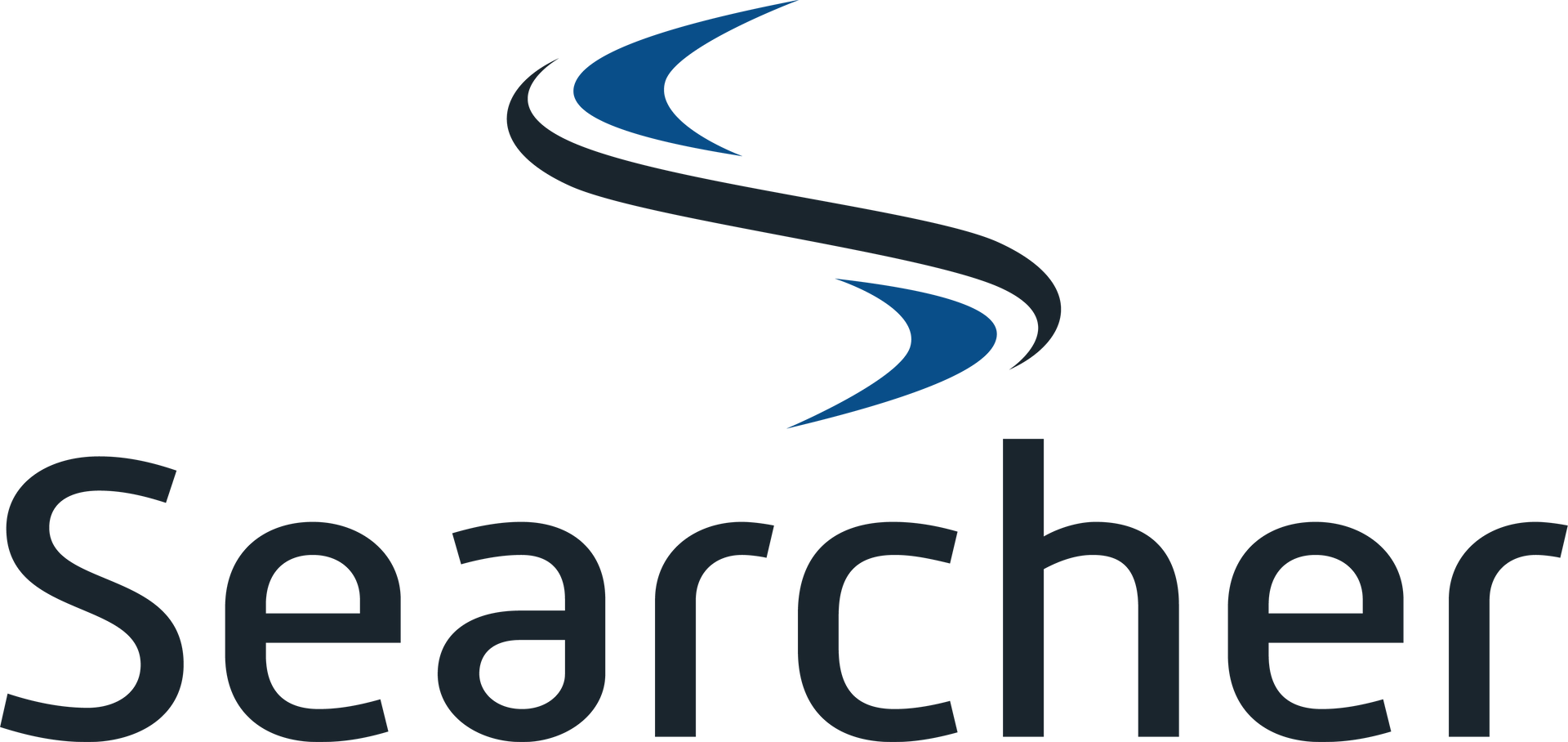 Searcher Logo