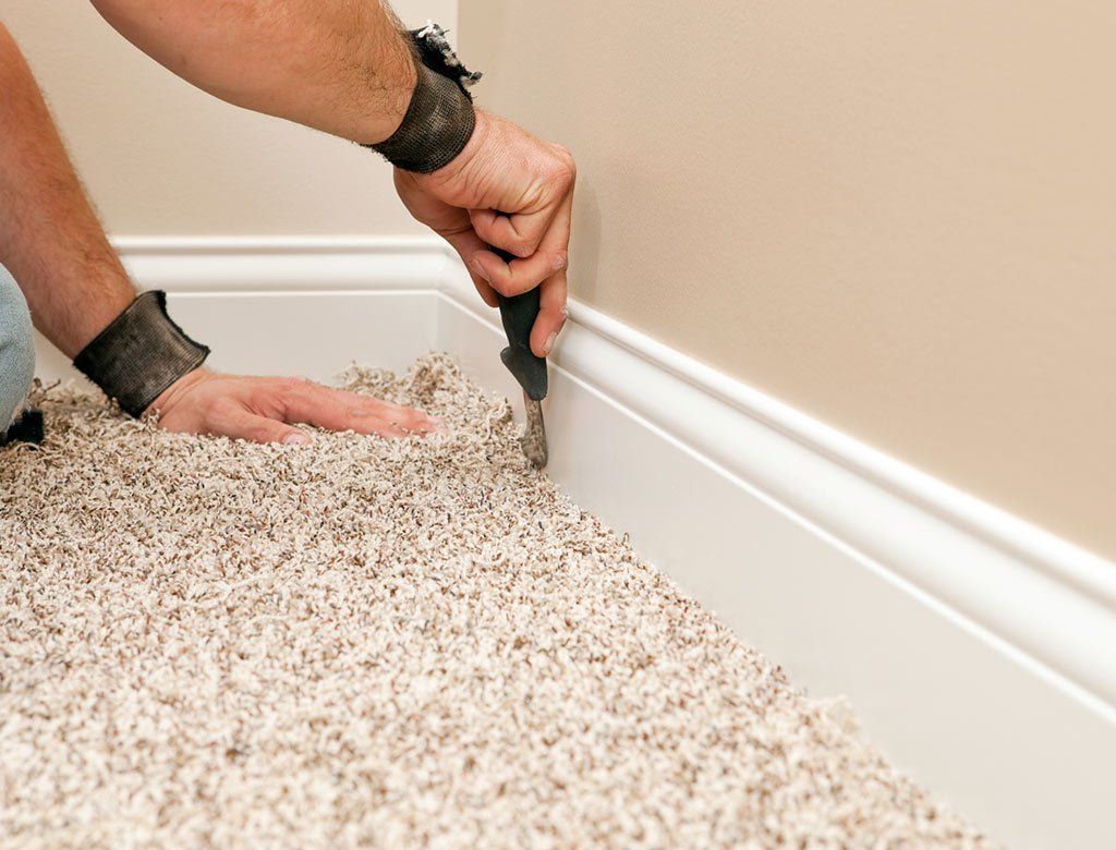 Carpets 5
