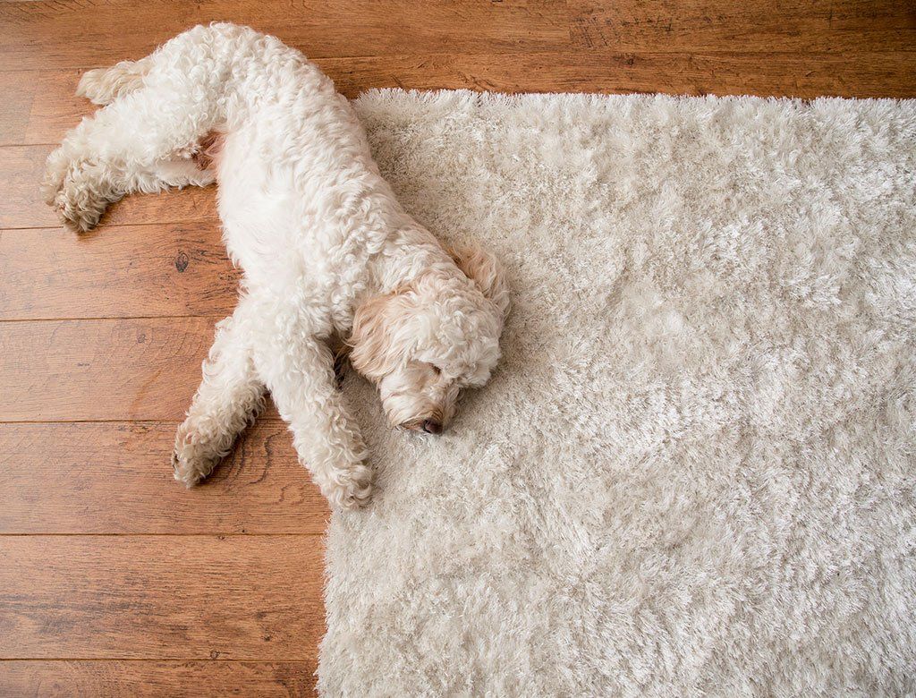 Rugs 1