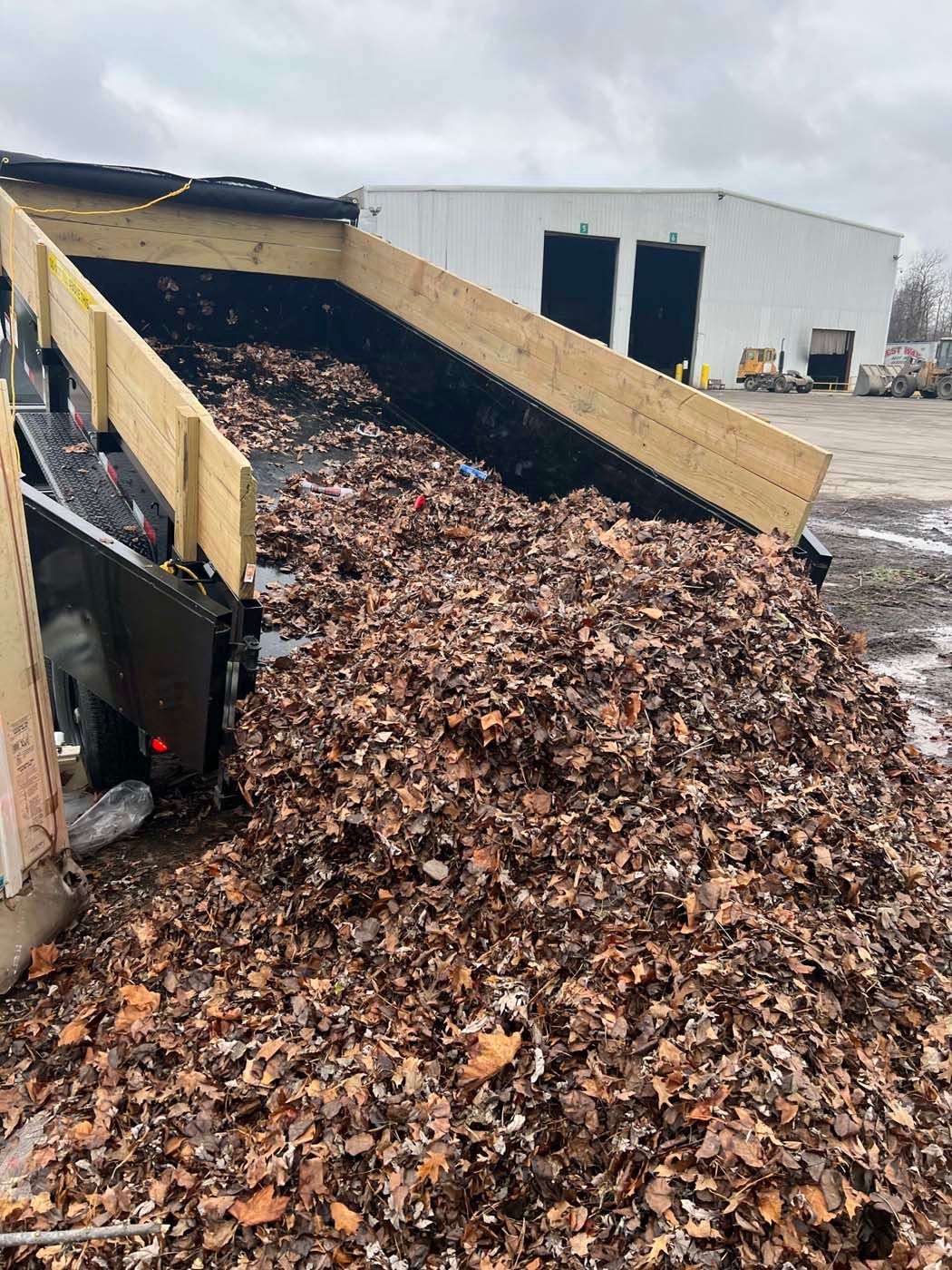 Trailer bed filled with brown leaves being dumped on a concrete surface, set against a white industrial building.