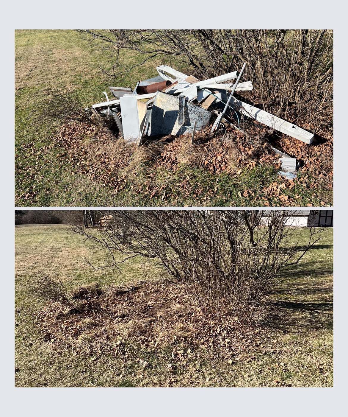 Top: Debris pile of metal scraps in grassy area. Bottom: Bare bush in a grassy field.