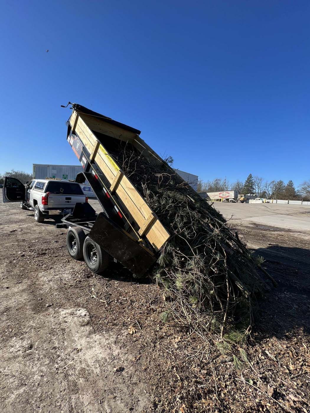 A pickup truck is attached to a trailer being tilted up and filled with plant debris under a blue sky.