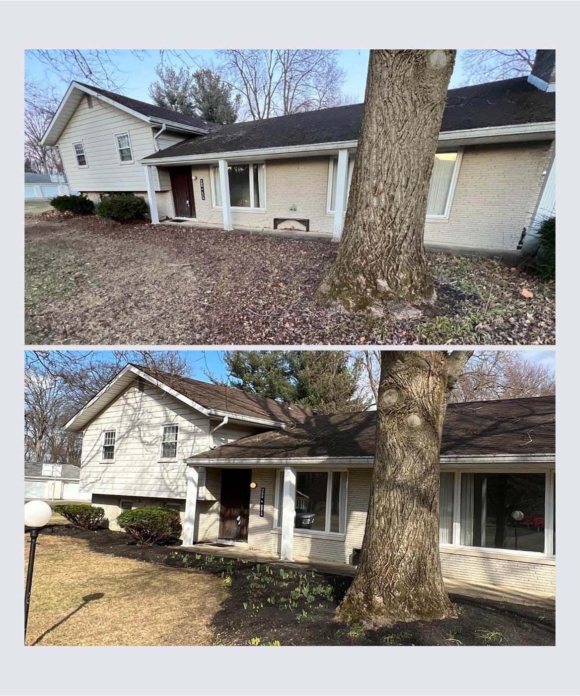 Two photos of a house before and after landscaping. Tree in front, dry leaves vs. manicured lawn.