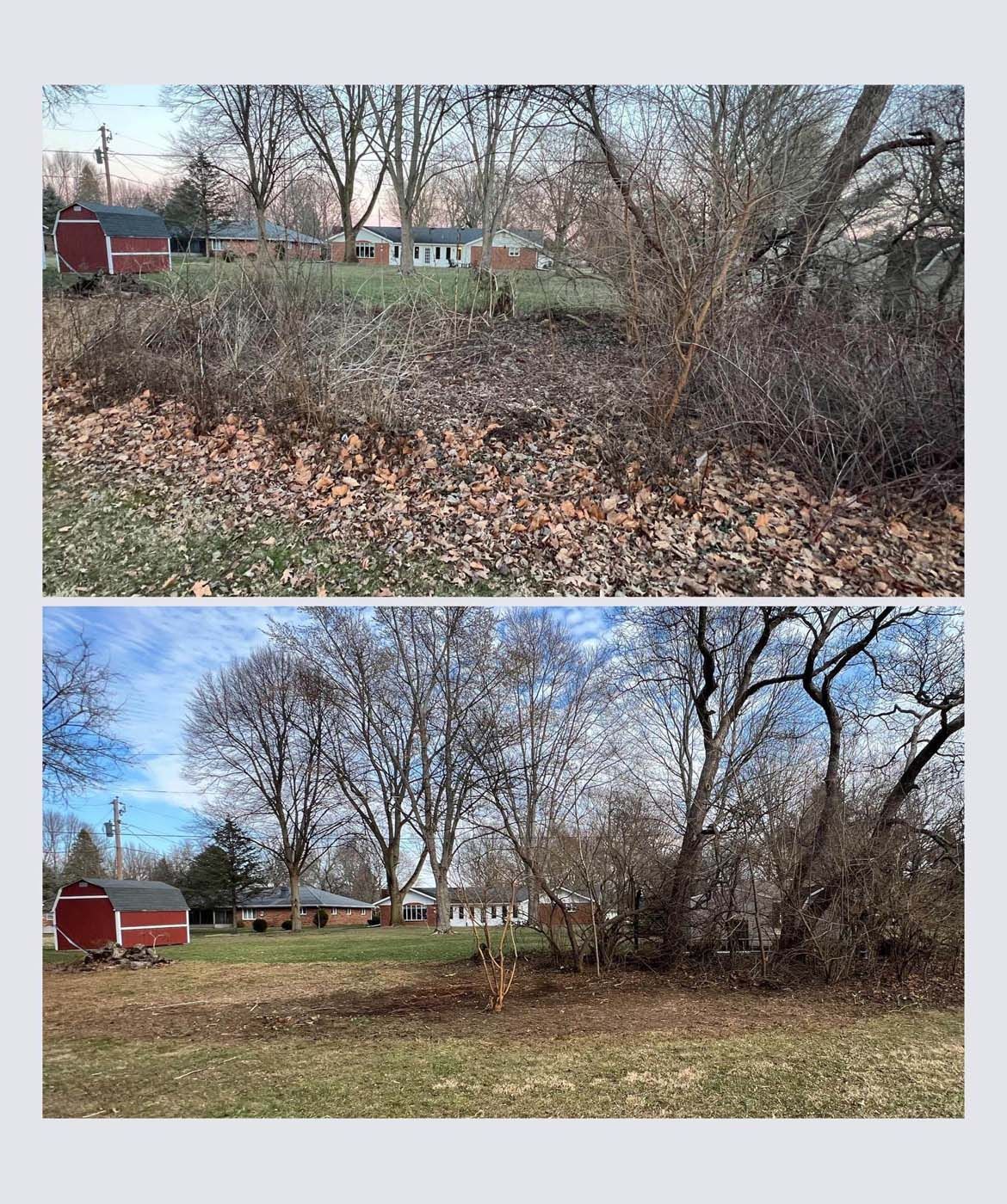 Before and after of yard cleanup; brown leaves and brush removed, trees and houses visible.