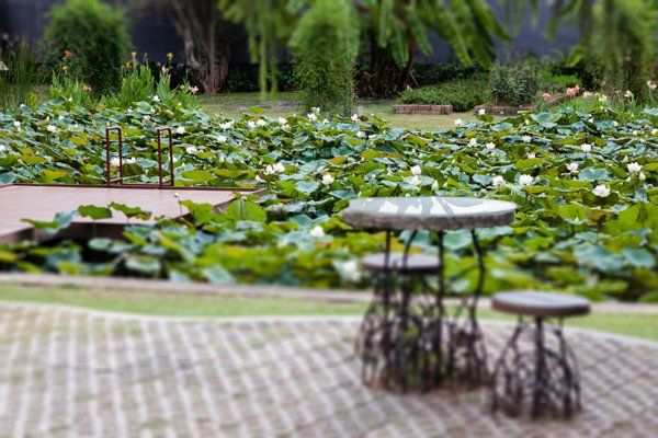 Nursery of Living Plants — Milton, FL — Dewey Carter’s Sod Farm