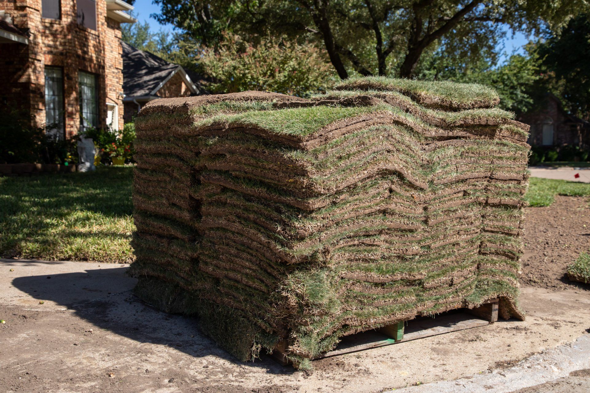 Stock of Sods — Milton, FL — Dewey Carter’s Sod Farm Stock of Sods — Milton, FL — Dewey Carter’s Sod Farm
