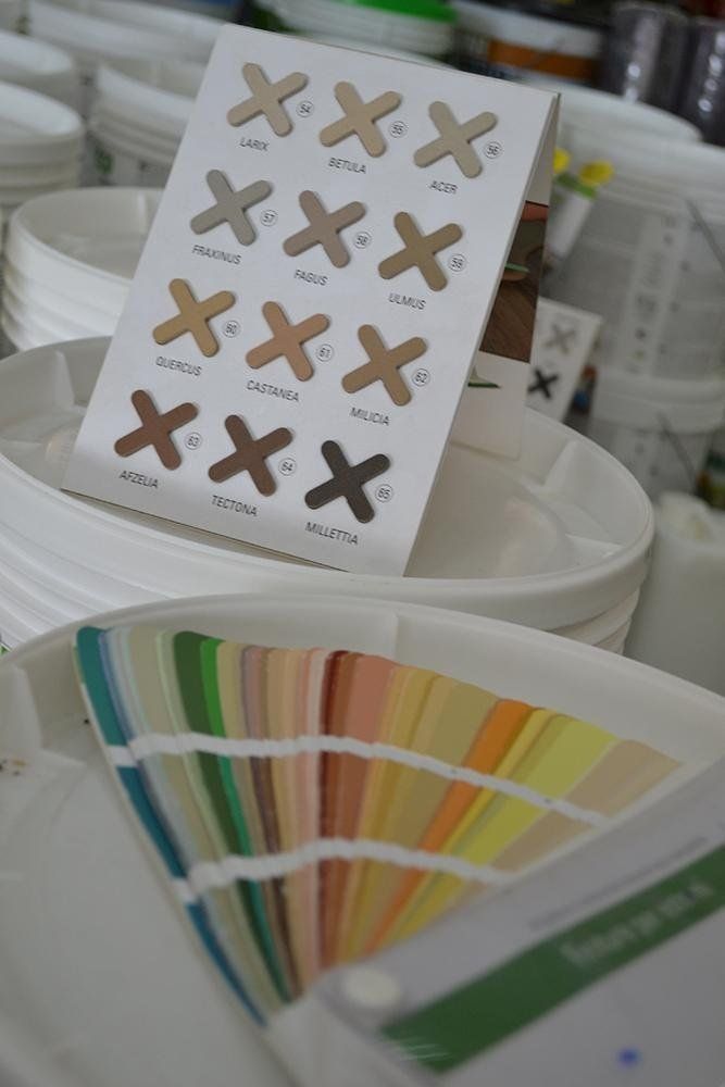 Campioni di colori e secchi di vernice mostrano le opzioni in un negozio.
