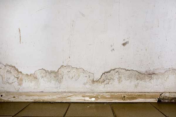 Peeling white wall with water damage and mold stains above a tiled floor Peeling white wall with water damage and mold stains above a tiled floor