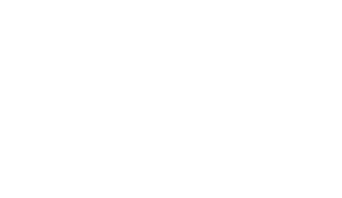 Company Logo - Footer