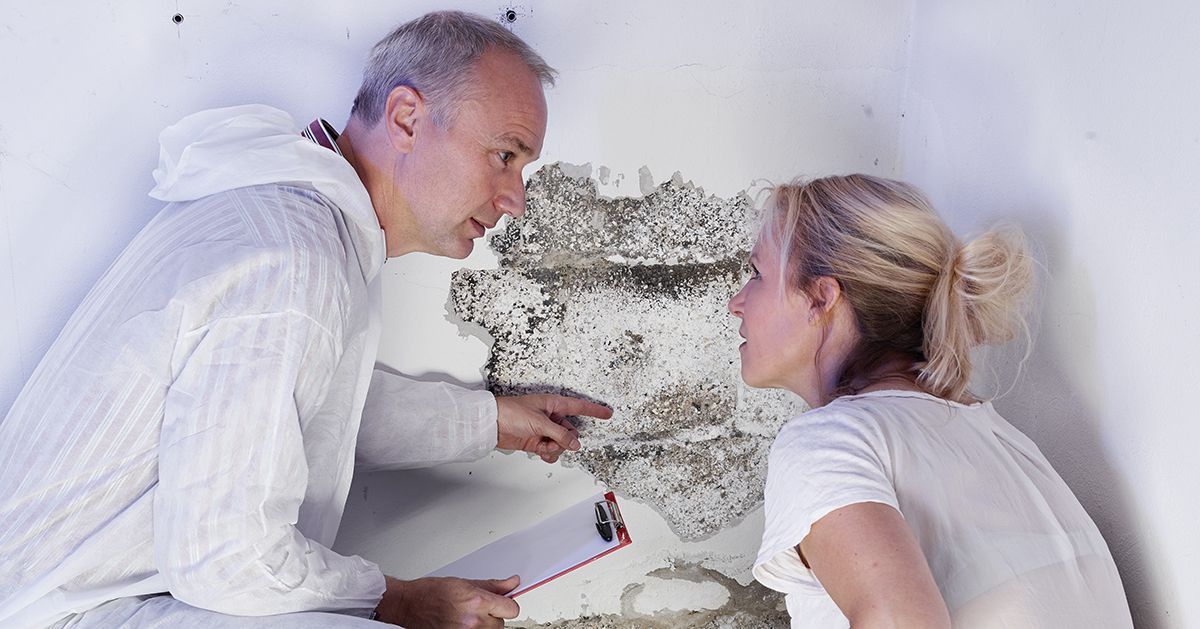 Ein Mann und eine Frau betrachten Schimmel an einer Wand.