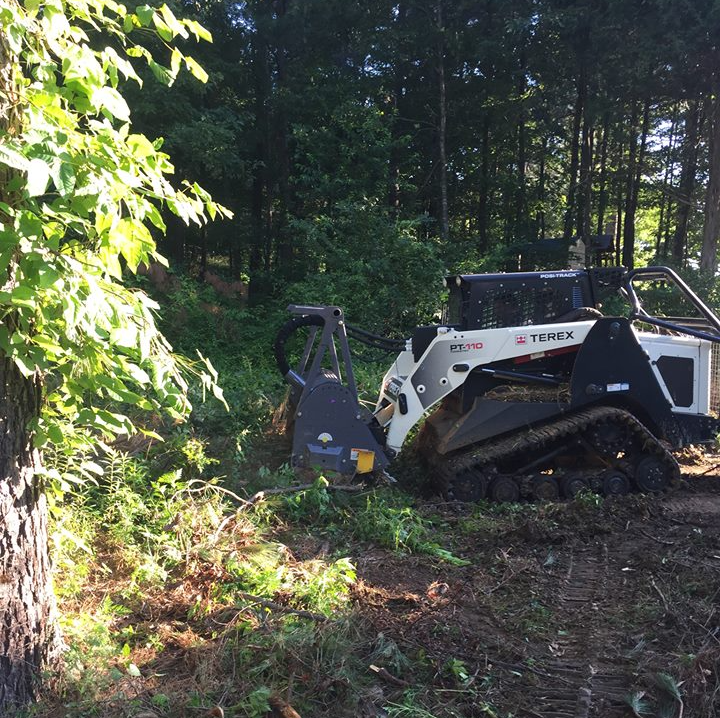 Cutting Tree Branch — Hernando, MS — Addison Tree Care LLC Cutting Tree Branch — Hernando, MS — Addison Tree Care LLC