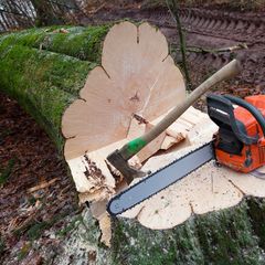 Cut Tree With Chain Saw — Hernando, MS — Addison Tree Care LLC Cut Tree With Chain Saw — Hernando, MS — Addison Tree Care LLC