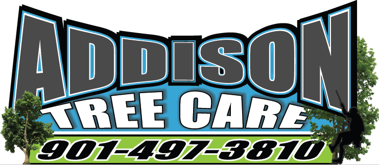 Addison Tree Care LLC Addison Tree Care LLC